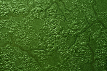 Abstract green cardboard texture imitating an aerial view of river beds and lakes. Creative surface...
