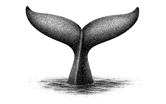 Pointillism whale tail emerging from ocean waves