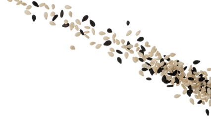 A diagonal stream of mixed black and white sesame seeds scattered and isolated on a white background.