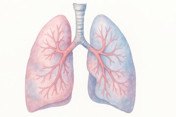 Watercolor illustration of human lungs with bronchial tubes in soft pink and blue tones, showing detailed respiratory anatomy in delicate artistic style
