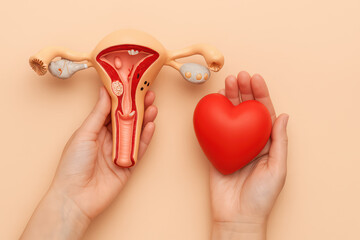 Female reproductive system model and red heart shape in hands, symbolizing women health and care, medical concept with soft beige background