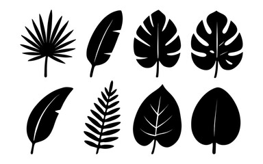 Obraz premium Silhouette collection of tropical and exotic leaf designs in black