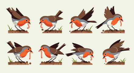 Robin bird eating worm sequence in nature
