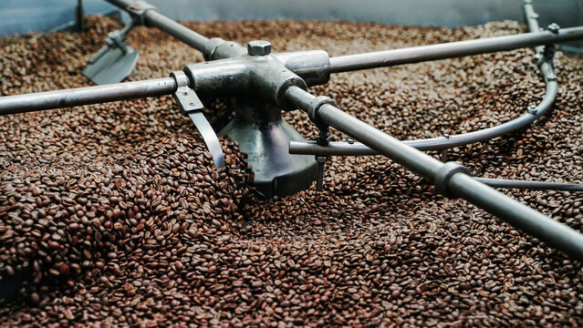 coffee roasting machine stirring fresh beans inside the large metal drum at an industrial facility
