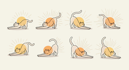 Stretching cat poses with sun rays