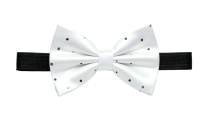 White, dotted bow tie on a black elastic band