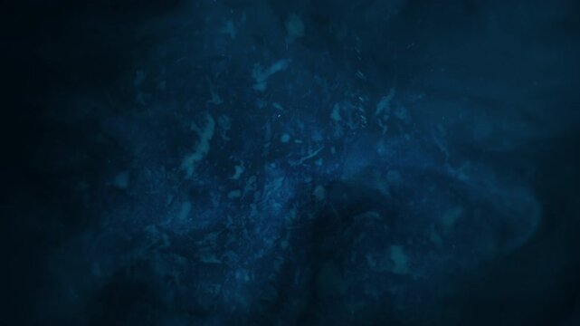 calm aquatic environment characterized by muted colors and soft movement