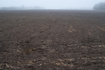plowed field with black soil