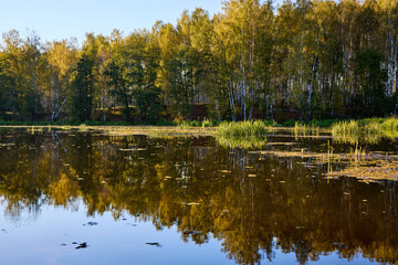 Serene Riverbank Scene with Lush Greenery