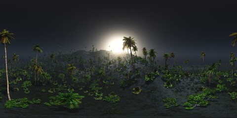Jungle in the mountains in the morning, HDRI, environment map , Round panorama, spherical panorama, equidistant projection, panorama 360, 3d rendering