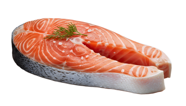 Fresh raw salmon fish steak with dill herb isolated on white background