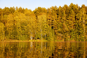 Tranquil River Reflections of Autumn Trees
