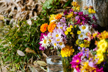 散歩の途中で見つけた深まる秋の風景