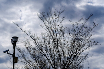 散歩の途中で見つけた深まる秋の風景