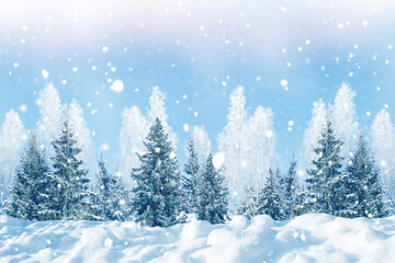 Fototapeta premium magical frozen trees. snow covered pine forest. winter landscape. Christmas bokeh. Greeting card.