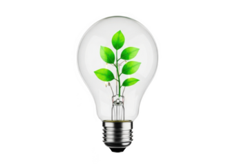 Eco friendly light bulb with green plant inside, sustainable energy concept, innovation and growth, isolated on transparent background