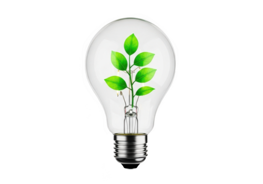 Eco friendly light bulb with green plant inside, sustainable energy concept, innovation and growth, isolated on transparent background