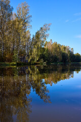 Tranquil River Reflections of Autumn Trees