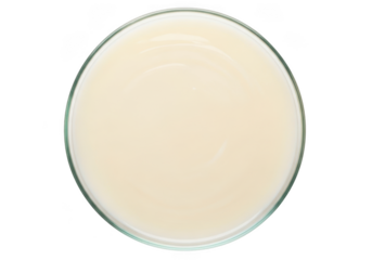 Top view petri dish with creamy liquid, culture medium, agar, nutrient broth, laboratory sample, science experiment isolated on transparent background