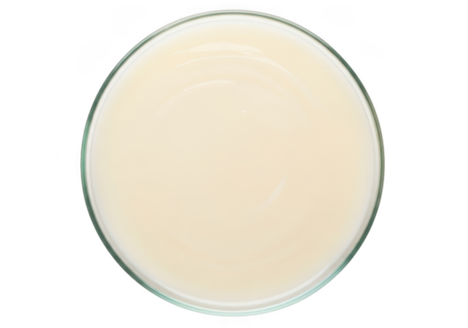 Top view petri dish with creamy liquid, culture medium, agar, nutrient broth, laboratory sample, science experiment isolated on transparent background