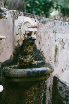 Fuente llena de moho