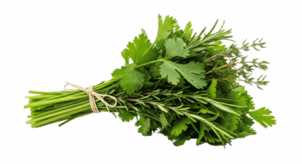 Fresh Mixed Herb Bundle with Parsley, Rosemary, and Thyme – Aromatic Green Culinary Herbs Tied Together for Cooking, Garnishing, and Healthy Recipes – Perfect for Home Kitchens, Restaurants, and Food 