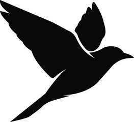 Silhouette of a bird in flight with wings spread wide