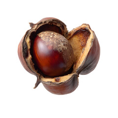 Elegant Open Chestnut Shell with Brown Nut Inside on Transparent Background