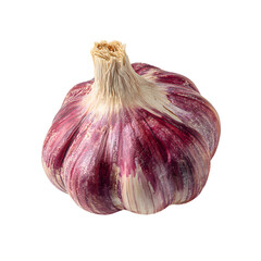 Rustic Red Garlic Bulb Isolated on White Background for Culinary Designs