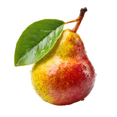 Single Ripe Pear Fruit Isolated on White Background