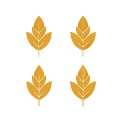 Fototapeta premium Four golden leaves symbol design element nature ecology season