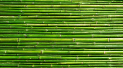 Lush green bamboo stalks lie flat in parallel lines creating a smooth and calming surface. The vibrant color and natural texture invite a sense of tranquility.