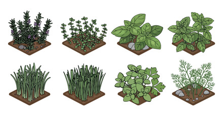 Herb garden set with potted plants and stones