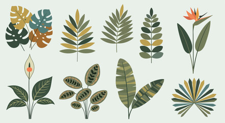 Tropical leaves collection with transparent background