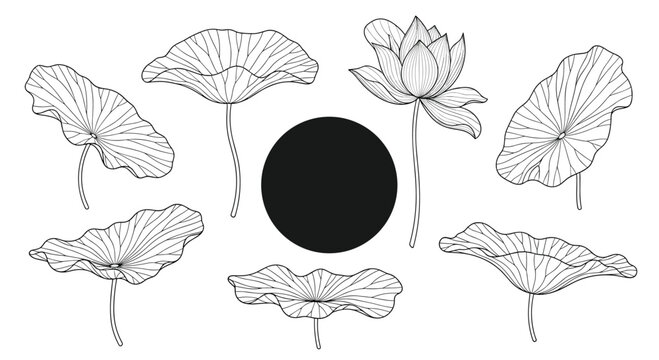 Beautiful collection of hand-drawn lotus flowers and leaves in a delicate line art style arranged around a black circle frame.