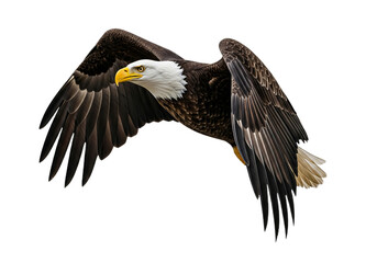 Eagle with transparent PNG background