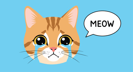 Fototapeta premium A very sad cartoon ginger cat with large teary eyes crying and saying 'Meow' in a speech bubble on a blue background.
