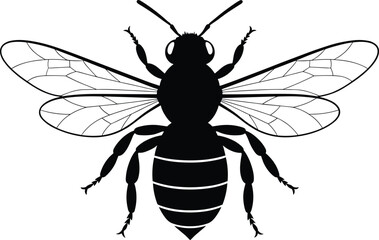 Bee silhouette vector, insect illustration, entomology study, biology artwork, striped abdomen, detailed wings, pollinator insect, black design, science graphic, nature