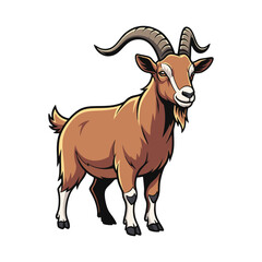 goat on a white background