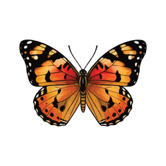Fototapeta premium Beautiful butterfly in Vector and PNG Format (AI Content)