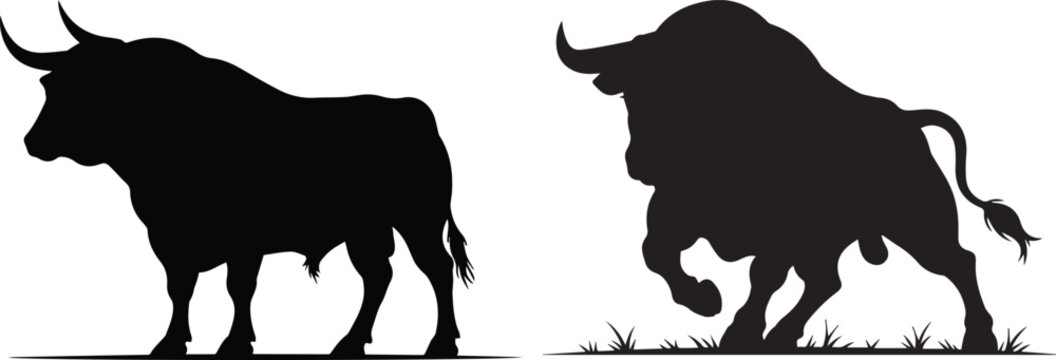 Two powerful black bull silhouettes standing and charging in a dynamic display of strength and wild energy against a white background