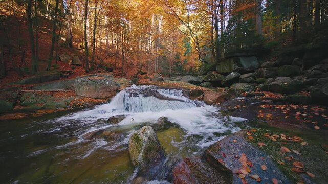 Forest stream flowing over rocks in a colorful autumn forest near Mumlava Waterfalls, Czech Republic. Clear water, fallen leaves and warm fall tones create a peaceful scenic atmosphere.