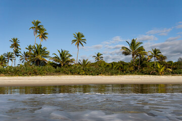 Serra Grande Bahia Authentic Tropical Landscapes Sea Coconut Trees Blue,Authentic landscape photography from Bahia, Brazil featuring the tropical beauty of Itacaré beaches with deep blue ocean