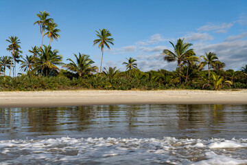 Serra Grande Bahia Authentic Tropical Landscapes Sea Coconut Trees Blue,Authentic landscape photography from Bahia, Brazil featuring the tropical beauty of Itacaré beaches with deep blue ocean