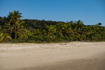 Serra Grande Bahia Authentic Tropical Landscapes Sea Coconut Trees Blue,Authentic landscape photography from Bahia, Brazil featuring the tropical beauty of Itacaré beaches with deep blue ocean