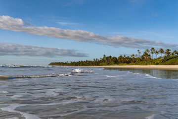 Serra Grande Bahia Authentic Tropical Landscapes Sea Coconut Trees Blue,Authentic landscape photography from Bahia, Brazil featuring the tropical beauty of Itacaré beaches with deep blue ocean