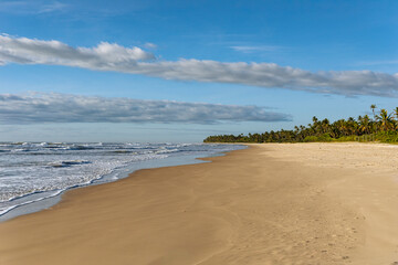 Serra Grande Bahia Authentic Tropical Landscapes Sea Coconut Trees Blue,Authentic landscape photography from Bahia, Brazil featuring the tropical beauty of Itacaré beaches with deep blue ocean