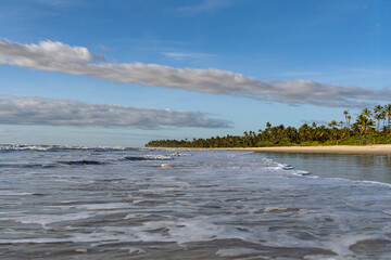 Serra Grande Bahia Authentic Tropical Landscapes Sea Coconut Trees Blue,Authentic landscape photography from Bahia, Brazil featuring the tropical beauty of Itacaré beaches with deep blue ocean