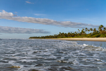 Serra Grande Bahia Authentic Tropical Landscapes Sea Coconut Trees Blue,Authentic landscape photography from Bahia, Brazil featuring the tropical beauty of Itacaré beaches with deep blue ocean