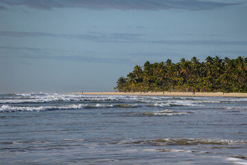 Serra Grande Bahia Authentic Tropical Landscapes Sea Coconut Trees Blue,Authentic landscape photography from Bahia, Brazil featuring the tropical beauty of Itacaré beaches with deep blue ocean